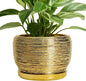 SQOWL Ceramic Flower Pot - 8 Inch Plant Pot Indoor Outdoor, Round Planter with Drainage Hole and Saucer, Decorative Modern Planter, Home Decor, Plant Lovers Gifts, Gold