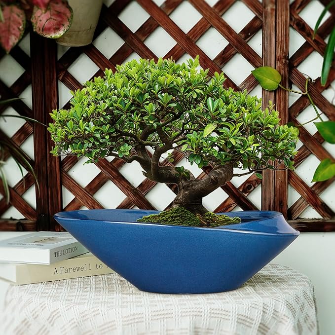 Blue Ceramic Bonsai Planter, 18 Inch Indoor Pot with Drainage Hole