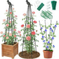 2 Pack Garden Trellis for Climbing Plants Outdoor - Rustproof Plastic Coated Steel Core Tower Obelisk Trellis - Metal Teepee Trellis Vertical Plant Support for Vines Vegetables Flowers Indoor