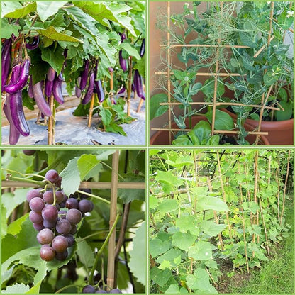 Plant Stakes,4FT Longer Sturdy Natural Bamboo Garden Stakes,GAGINANG 25Pcs Bamboo Sticks Trellis Support for Tomato, Vegetables Beans Trees Climbing Plants