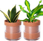 Phoenix Vine 6 Inch Self Watering Planter Pot, Terracotta Clay Pot with Glass Reservoir for Indoor Plants, Herbs, Flowers, Set of 2, 52-A-F-2