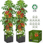 2 Pack Raised Garden Bed Tomato Planter with Trellis, 57" Tomato Cage Plant Support Planters, Self-Watering Planter for Tomatoes Climbing Plants Vegetable Vine Flowers Outdoor & Indoor