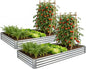 Galvanized Raised Garden Bed,Outdoor Planter Box Metal Patio Kit Planting Bed for Vegetables Flowers Herb (Galvanized, 8x4x1ft-2p)