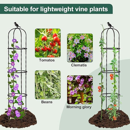 Garden Trellis for Climbing Plant Outdoor, 67" Tall Cucumber Trellis for Pot Raised Bed Climbing Vine Plants Vegetable Pea Bean Tomato Rose Clematis Cucumber Trellis, 2 Pack