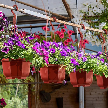 Roshtia 50 Pcs 5.9 inch Plastic Hanging Plant Pots with Hooks Flower Pots Baskets Outdoor Hanging Nursery Planter Holder for Home Garden Balcony Porch(Brown, 5.9 inch)