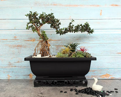 Planter Pots 2-Pack, 11.5 Inch Brown Recycled Plastic Bonsai Pots