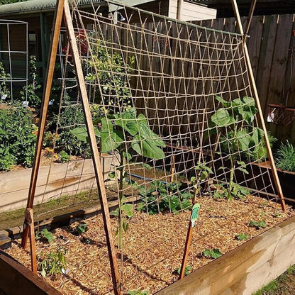 Jute Trellis Netting - Jute Netting for Garden, Heavy Duty Plant Support Netting for Climbing Plants, Cucumber, Vine, Fruits & Vegetables, Climbing Vining Plants (6.6 Ft x 9.8 Ft, 3.9 Inch Squares)