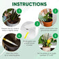 Plant Watering Globes Set of 6 – Small Glass Self Watering Bulbs Up