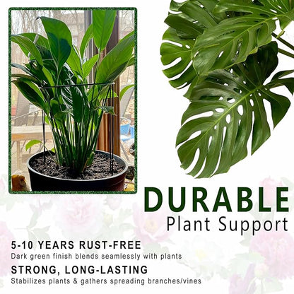 6 Pack Threaded Lock Metal Plant Support Stakes - 25" H Tall Peony Cage, Reusable Detachable Garden Ring for Hydrangea/Rose Bush/Potted Flowers, Indoor Outdoor Heavy Duty (10" W)