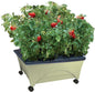 Emsco Group 2342-1HD City Picker Self Watering and Improved Aeration – Mobile Unit with Casters-Sand Raised Bed Grow Box