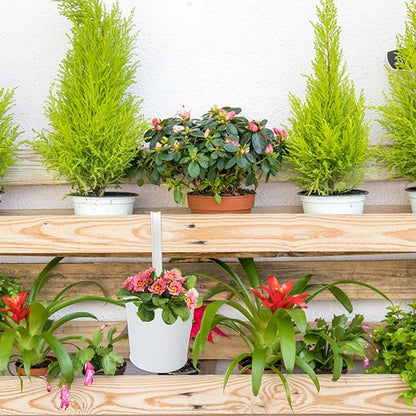 KINGLAKE Flower Pots,10 Pcs Metal Iron Hanging Flower Plant Pots Balcony Garden Plant Planter Baskets Fence Bucket Pot 4'' Flower Holders with Detachable Hook White