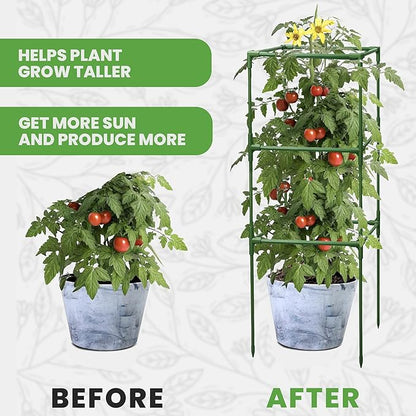 Tomato Cage Square - Large Trellis Stakes and Plant Support Structures for Vegetables and Climbing Plants - Tall Tomato Cages for Garden, Pots, Raised Garden Bed Outdoor Supplies (3 Pack - Up to 41")