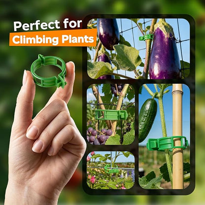 100pcs Tomato Clips for Climbing plants, Plastic Trellis Plant Support Clips for Garden, Reusable Clips for Supporting Grape Tomato Vine and Vegetables Plants to Grow Upright Makes Plants Healthier