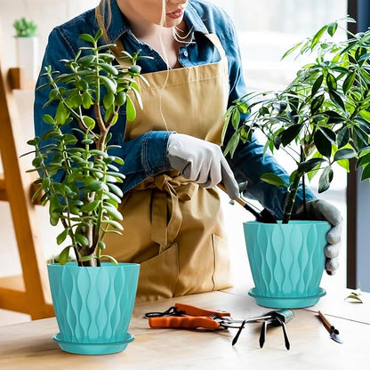 6 Pack 6 Inch Indoor Plant Pots with Drainage Holes, Outdoor Plastic Decorative Flower Pots, Garden Planters with Tray Saucers for Orchids, Violets, Succulents, Herbs, and Other Plants