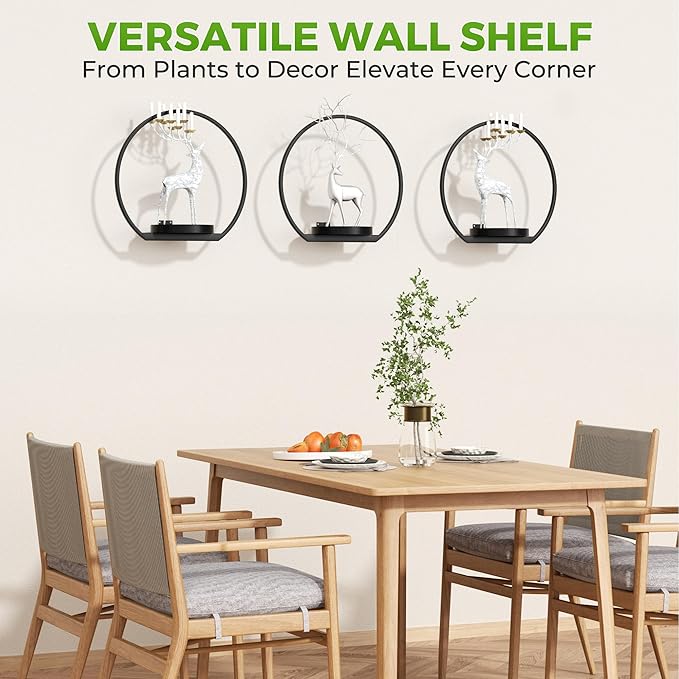 Wall Planters for Indoor Plants, Plant Frames Wall Decor Living Room Plant Stand Hanging Wall Plants Holder to Hold Large Pots Wall Plant Hanger Window Plant Shelves for Outdoor Entryway