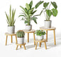 Delma Wood Plant Stands Indoor, 5-Pack Single Plant Stand for 6-12 Inch Pots, Mid-Century Modern Plant Stool, Tall Plant Stand for Large Plants for Living Room, Balcony, Office (Light Brown, 5-Pack)