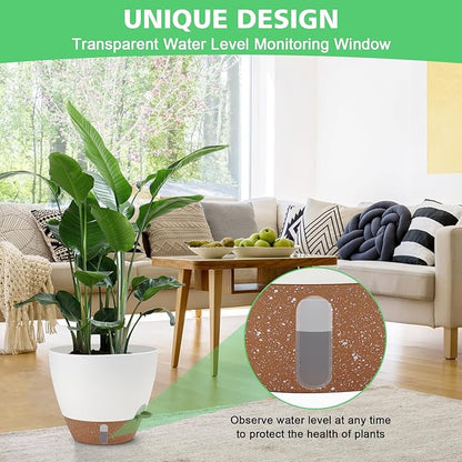 Self Watering Planter with Visual Water Level, 6Pack Small Plastic Pot Set with Drainage Holes and Reservoir Saucers, Modern 8+7+6.5+6+5.5+5 Inch Bottom Watering Flower Pots for Indoor Plant - White