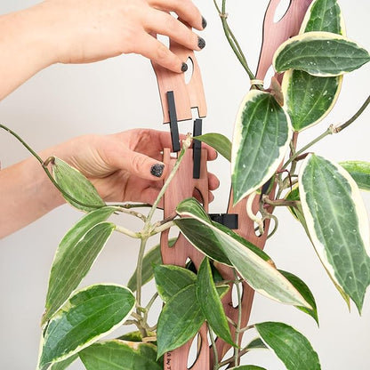 Treleaf Zella Grande Extension Kit - Wooden Extendable Plant Trellis for Indoor Climbing Houseplants - Modular Plant Support