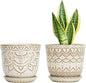 Gepege Beaded Ceramic Planter 6 Inch Set of 2 with Drainage Hole and Saucer for Plants, Indoor-Outdoor Large Round Succulent Orchid Flower Pot (Cream White, Inner-pots not Larger Than 5 Inch)
