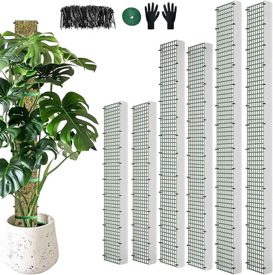 60"/40"/24" Metal Moss Pole, D Shape Sphagnum Moss Pole, Moss Poles for Climbing Plants, Monstera, Indoor Climbing Plants (2 Each of 60" 40" 24")
