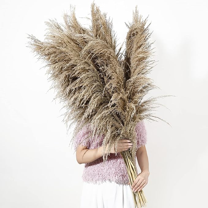 Dried Pampas Grass Stems, 9 Pack, 46-48 Inch Brown Plumes