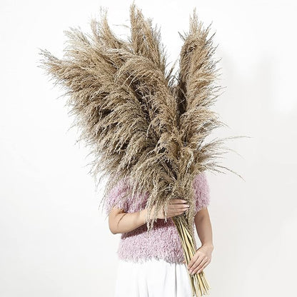 Dried Pampas Grass Stems, 9 Pack, 46-48 Inch Brown Plumes