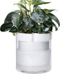 Phoenix Vine 10 Inch Self Watering Planter, White Terracotta Clay Pot with Glass Reservoir for Indoor Plants, Herbs, Flowers, Set of 1, 52-B-I-1