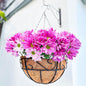LaLaGreen Hanging Planter for Outdoor Plants (16 Inch, 2 Pack) Hanging Baskets with Coco Liner, Black Metal Wire Flower Basket Pots with Hook Hanger Balcony Porch Farmhouse Country Style Garden Decor