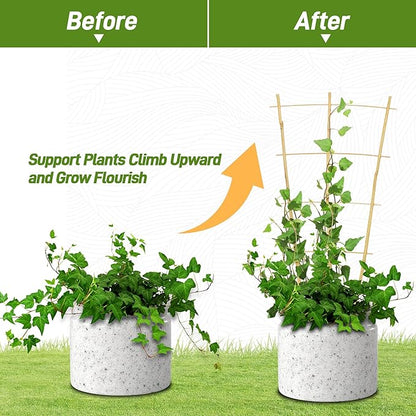Avalution 10 Pack Bamboo Trellis for Climbing Plants, 2 FT Garden Ladder Trellis for Potted Plants Indoor, Fan-Shaped Small Plant Support Trellis for Houseplants Ivy Hoya Vine Monstera