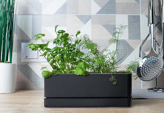 D'vine Dev 12 Inch Window Box Planter, Rectangle Plastic Herb Planter with Drainage Holes and Saucer, Indoor Succulent Cactus Vegetable Pot for Windowsill, Garden Balcony, Black, Set of 1, 76-X-B-1