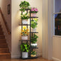 LASZOLA 6 Tier Plant Stand Indoors Outdoors with Light for Large Heavy Duty Planter, Black Metal Tall Flower Holder Rack for Modern House Corner, Vertical Iron Organizer with Multiple Rustic Shelf