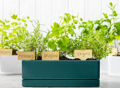 D'vine Dev 12 Inch Window Box Planter, Rectangle Plastic Herb Planter with Drainage Holes and Saucer, Indoor Succulent Cactus Vegetable Pot for Windowsill, Garden Balcony, Green, Set of 1, 76-X-C-1