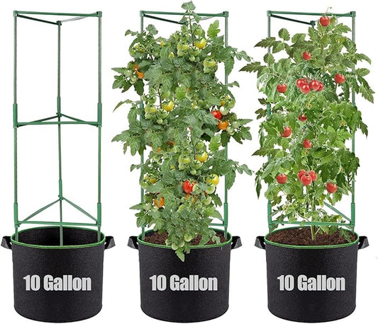 ANPHSIN 3 Sets Tomato Cages with 10 Gallon Grow Bags - 48" Stable Plant Garden Planter, Flowers Vegetable Trellis Pots for Tomato Vertical Climbing Plants Vines