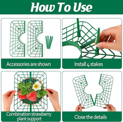 6 Sets Strawberry Plant Support with Mesh Plant Cover,Strawberry Growing Racks Sets with Iron Plant Nails and Storage Bag for Garden Strawberry Vegetables(White Net - Square)