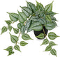 17.7" Artificial Plants Indoor Home Decor, Fake Potted Silk Plants for Shelves, Desks, Living Room, Home & Office Decor, Small Artificial Ivy Vine Plant in Pots, Faux Greenery Tropical House Plant