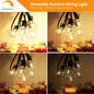 String Lights 150 FT Warm White LED, 75 Shatterproof Bulbs, Waterproof