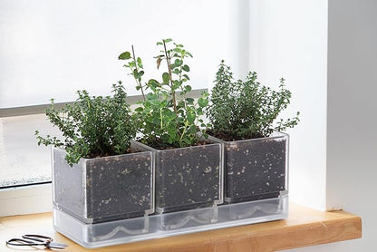 D'vine Dev Herb Garden Planter Set, Plastic Plant Pots with Drainage and Saucer, Indoor Succulent Cactus Vegetable Pot for Windowsill, Garden Balcony, Clear, Set of 2, 76-V-D-2