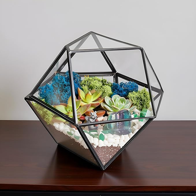 Terrarium Kit with 7-Inch Glass Dodecahedron Container, Moss and Tools