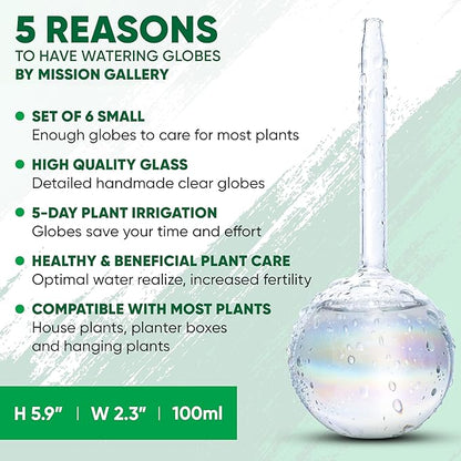 Clear Plant Watering Globes Set of 6 - Small Self Watering Globes for Indoor & Outdoor Plants - Automatic, Glass Watering Bulbs for Daily Use, Plant Watering Devices