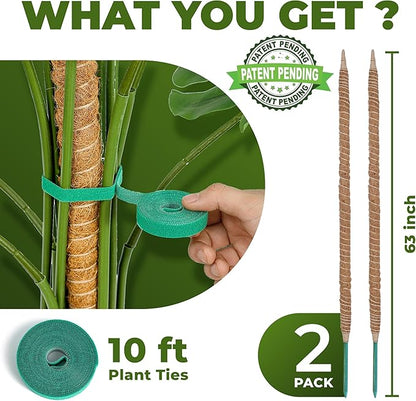 2 Pack 63 Inch Bendable Moss Pole Monstera Plant Support Stakes for Indoor Plants - Tall Moss Stick Trellis for Potted Climbers - Stem Support Accessories for Climbing Houseplants