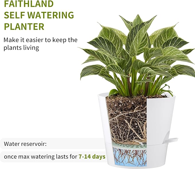 FaithLand 2-Pack 9 Inch Planter Pots for Indoor Outdoor Plants, Self Watering Flower Pots with Deep Reservoir, White …