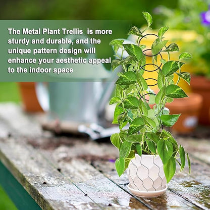 17.5 Inch Plant Trellis Indoor for Climbing Plants,Metal Trellis,Small Garden Trellis for Potted Plants,Plant Stakes for Indoor Plants Accessories Hoya,Flower,Plant Support,Plant Gifts(Circular-Metal)