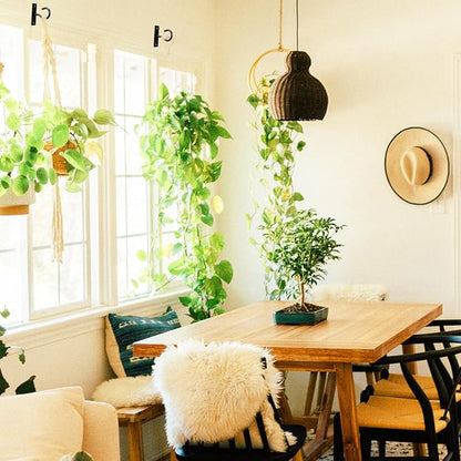 Ceiling Hooks for Hanging Plant, Hanger for Indoor and Outdoor Plant Pots Holder, Wall Hook for Planters, Flower Basket, Wind Chimes, Lanterns, Lights, Bird Feeders, Home Decor-2.5Inch 2Pack