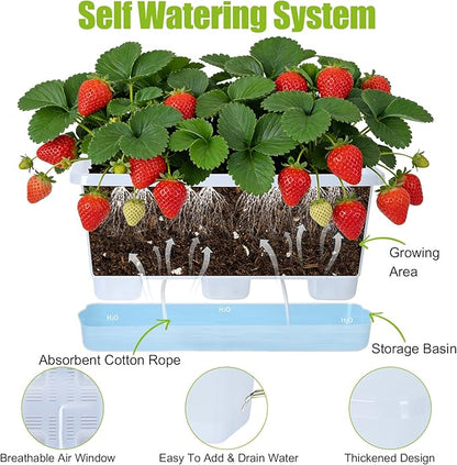 Window Box Planter 6 Packs, 13.8 Inches Rectangle Flower Pots with Drainage Holes & Trays, Pots for Vegetables, Herbs, Flowers, Garden Windowsill Balcony (Translucent White)