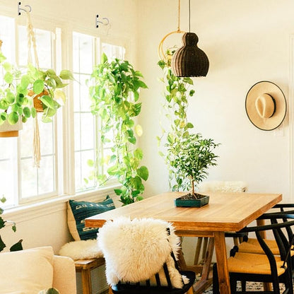4Pack 2.5Inch Ceiling Hooks for Hanging Plant, Hanger for Indoor and Outdoor Planters Pots Holder, Wall Hook for Plant, Flower Basket, Wind Chimes, Lanterns, Lights, Bird Feeders, Home Decor-White
