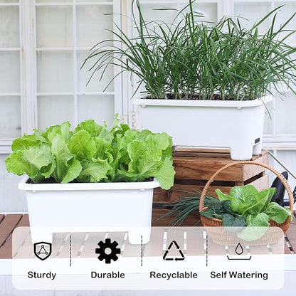 Self-Watering Rectangle Planter Boxes 8-Pack, 15.7-Inch Window Box Planter with Drainage Holes & Trays, Pots for Vegetables, Herbs, Flowers, Garden Windowsill Balcony (White)