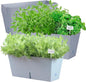 Window Box Planter 6 Pcs, 16.5 Inches Self Watering Rectangle Flower Plant Pots with Drainage Holes Trays, Vegetable Planters for Windowsill Patio Garden Balcony Porch Yard (Grey)