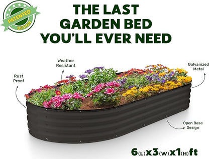 Plant & Plot Galvanized Raised Garden Beds Outdoor // 6×3×1 ft (2-Pack) Planter Raised Beds for Gardening, Vegetables, Flowers // Large Metal Garden Box // Patented Tool-Free Design (Black)
