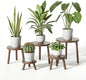 Delma Wood Plant Stands Indoor, 5-Pack Single Plant Stand for 6-12 Inch Pots, Mid-Century Modern Plant Stool, Tall Plant Stand for Large Plants for Living Room, Balcony, Office (Dark Brown, 5-Pack)