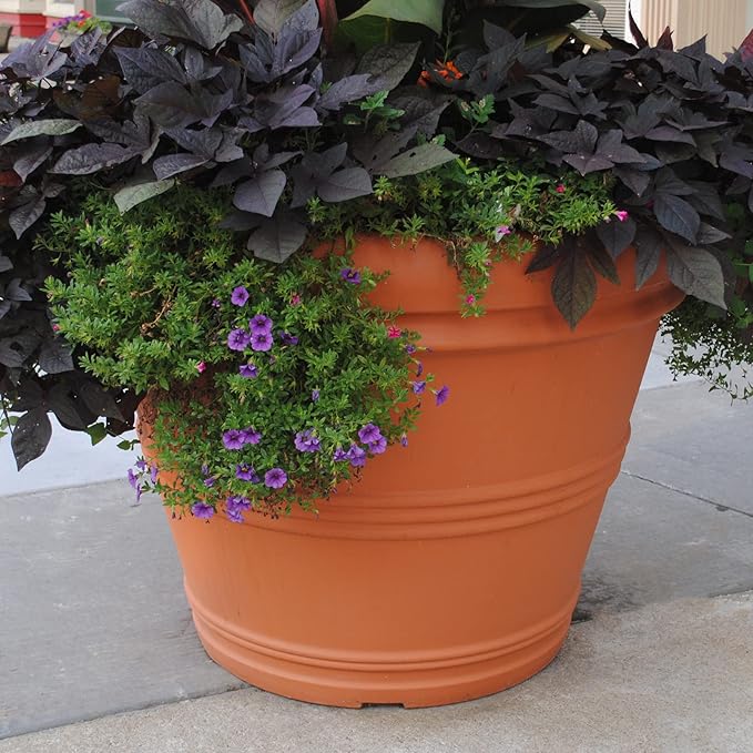 Tusco Products Rolled Rim Garden Planter, 42-Inch, Terra Cotta